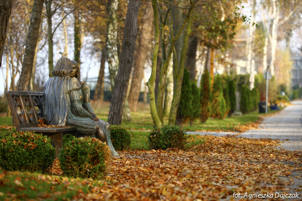 Zobacz koniecznie Zdjęcia Atrakcji w Rewalu